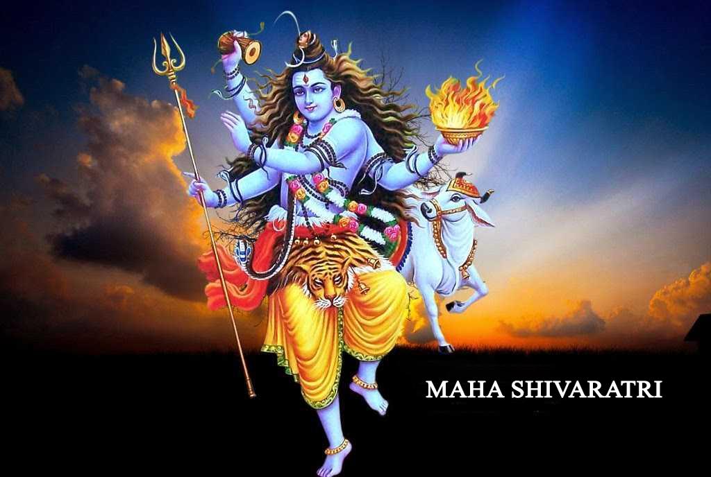 Shiva Ratri Festival in Nepal | Enjoy Shiva Festival with Jungle Cottage